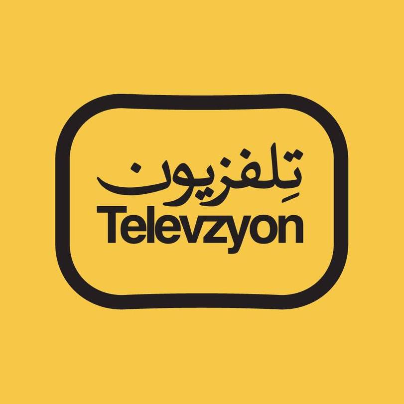 Televizion